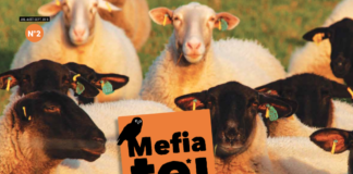 On n’est pas des moutons !