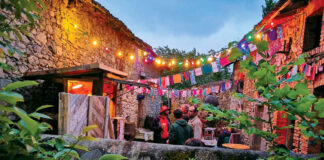 Bonjour les timbrés !